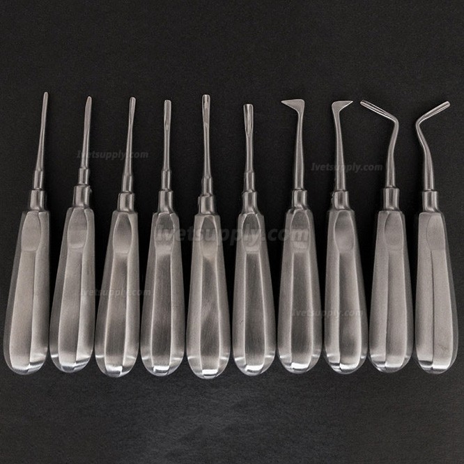 Veterinary Elevators Cat Dog Teeth Extraction Stainless Steel Minimally Invasive Elevators